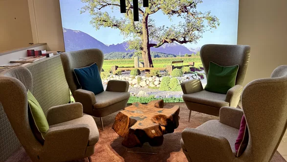 Couchtisch Nussbaum wild Wurzelstock| DM ca. 75 cm  Nr 47