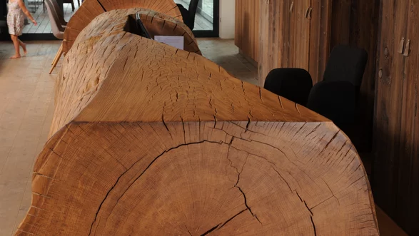 Rezeption aus einem Baumstamm