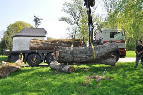 Nachhaltige Tischmanufaktur