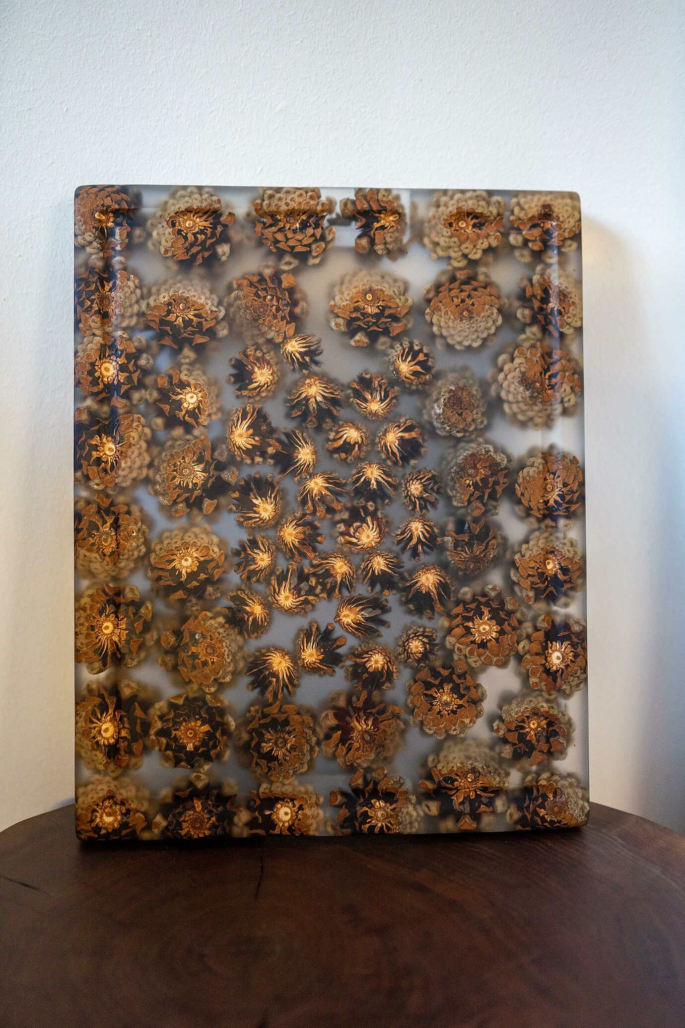 Schneidbrett / Präsentationsbrett aus Zapfen