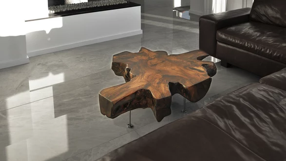 Design Couchtisch aus einem Baumstamm