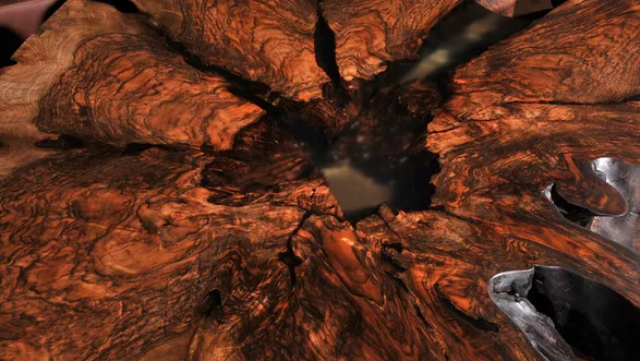 Couchtisch aus einem Baumstamm