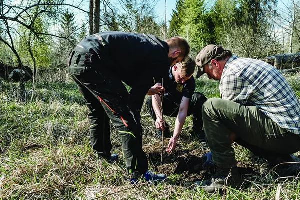Massivholztisch Nachhaltig