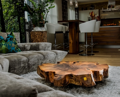 Couchtisch aus einem Baumstamm