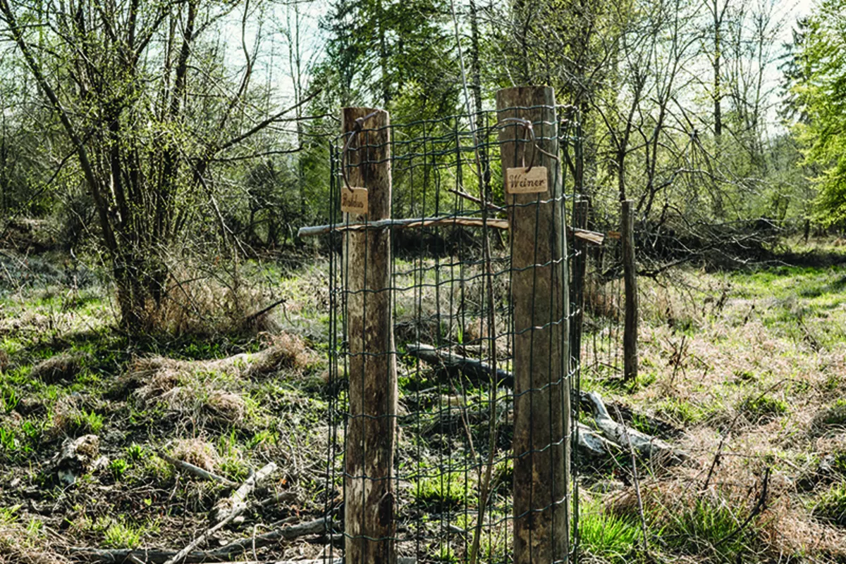 Nachhaltiger Holztisch