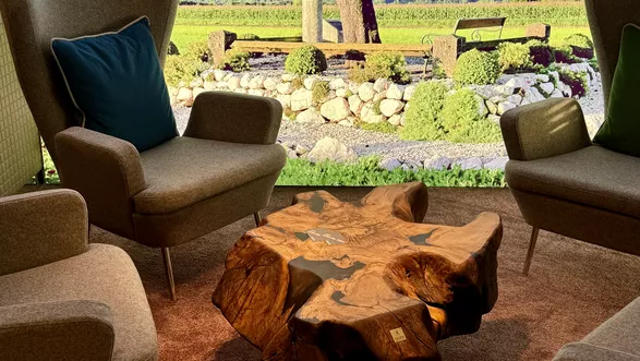 Couchtisch Nussbaum wild Wurzelstock| DM ca. 75 cm  Nr 47